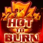 Hot to burn game cover
